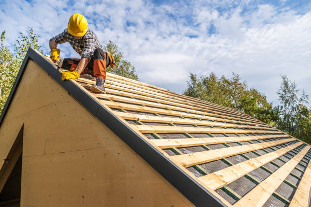 Best Roofing Contractor Near Me  in Rolesville, NC